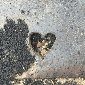 Meet your Posher, Shaneeza